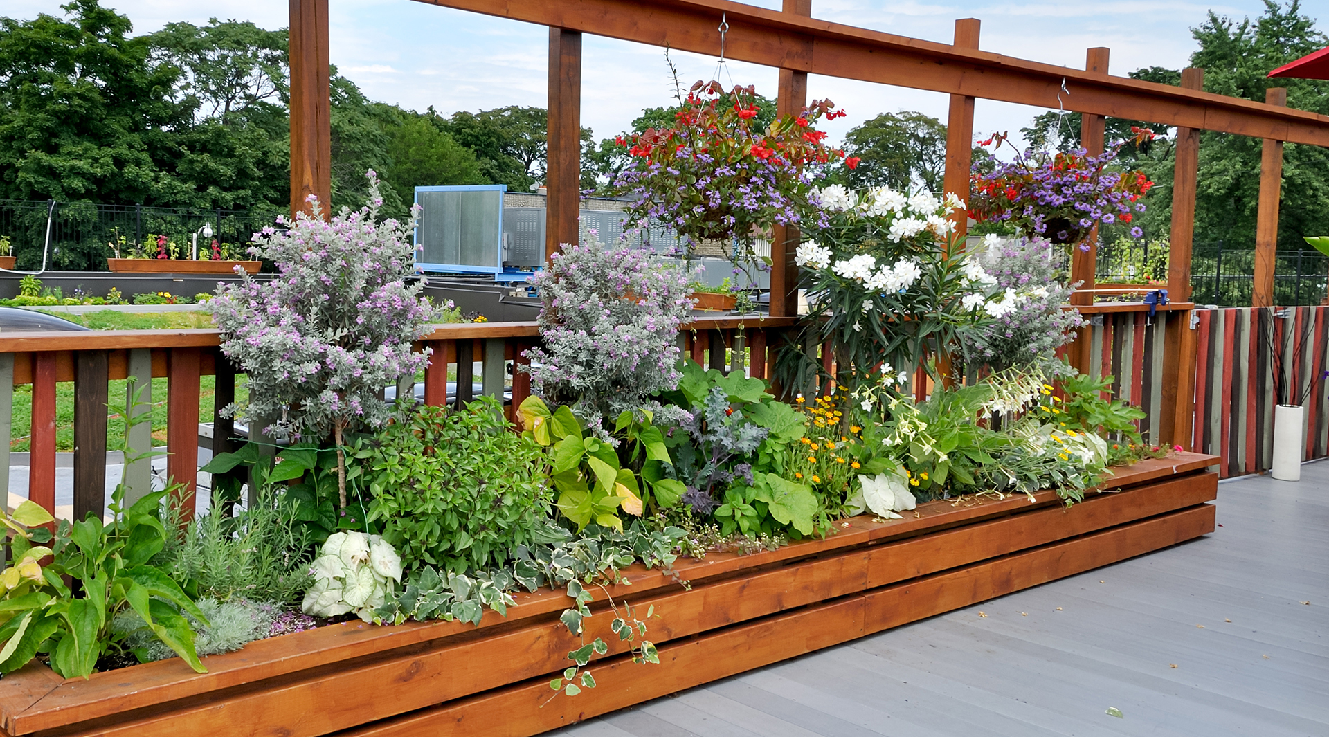 Stunning Rooftop Garden Geographical Uses image